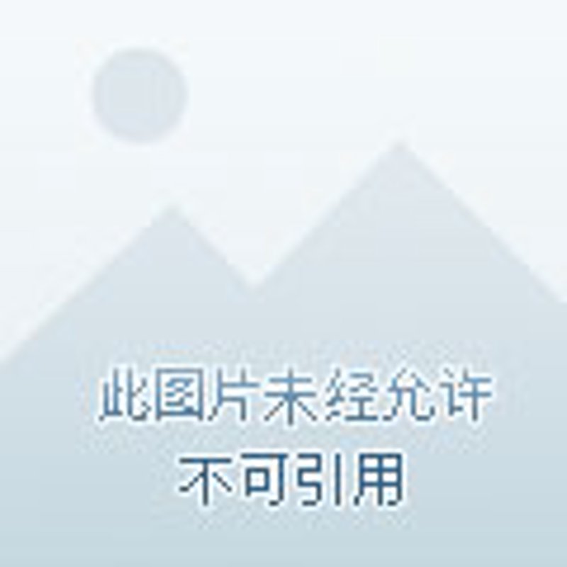 电子商务师证书有用吗？这或许是许多想要进入电商领域的朋友心中的疑问。